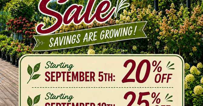 LATE SUMMER SALE!