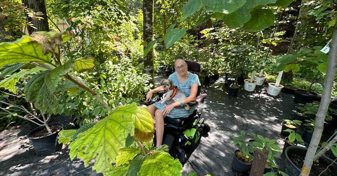 A 'Love Letter' to Baltimore Valley image