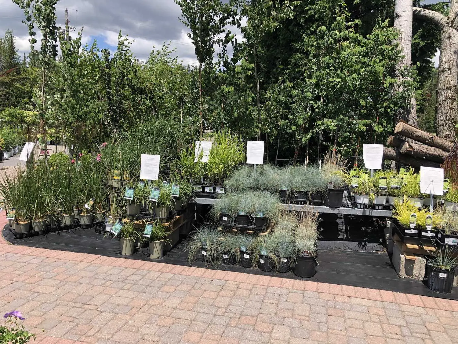 Baltimore Valley Garden Centre